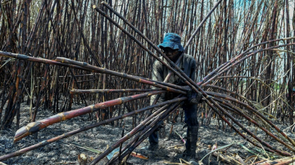 En Colombie, bataille pour la terre entre indig&egrave;nes et afro-descendants