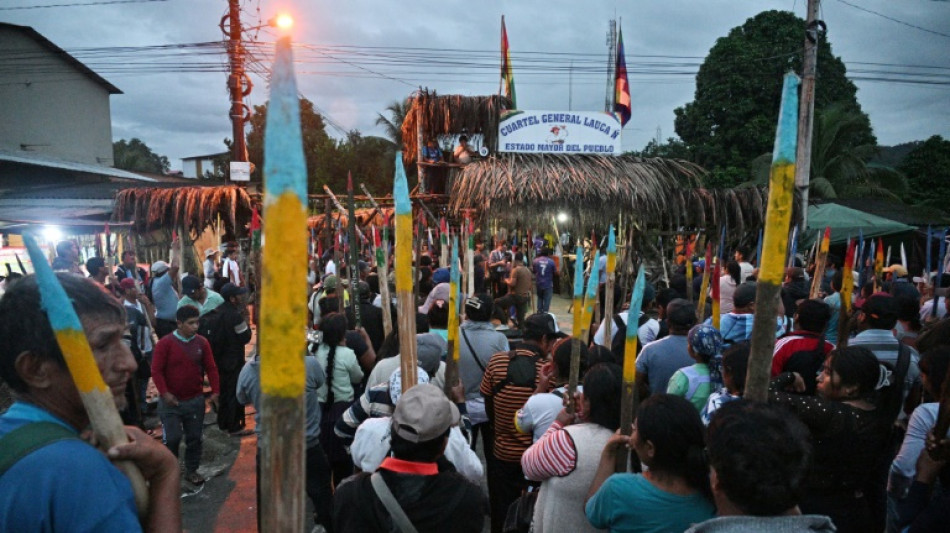 Lauca E&ntilde;e : le fief inexpugnable d'Evo Morales en Bolivie