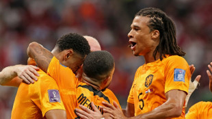 Glanzlose Niederländer als Gruppensieger im Achtelfinale