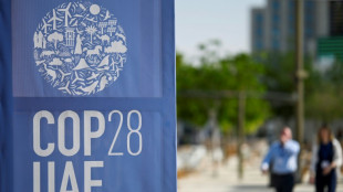 COP28 puts out welcome mat to lobbyists