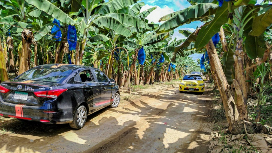 Empresa bananeira 'Chiquita' retorna ao Panam&aacute; e vai recontratar milhares de trabalhadores demitidos