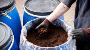 G&eacute;n&eacute;ralisation des bacs &agrave; biod&eacute;chets dans les rues de Paris, pas de collecte &agrave; domicile