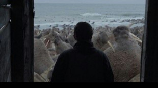 Los documentales cortos llenan de arte la carrera por los &Oacute;scar