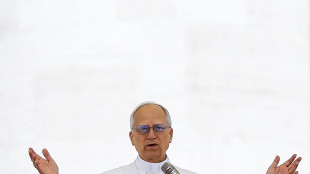 Il Papa, invoco coraggio per chi ricerca dialogo e pace