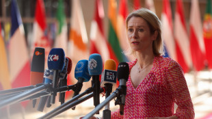 Kallas, 'pressione su Israele, s&igrave; a revisione accordo Ue'