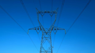 Electricité: RTE maintient sa "vigilance" sur la fin de l'hiver