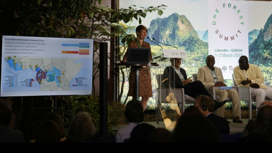 Se inicia la cumbre sobre protecci&oacute;n de los bosques tropicales en Gab&oacute;n