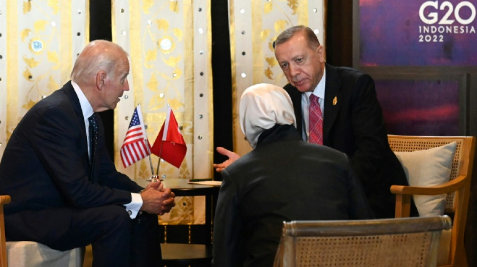 Biden, Erdogan discuss Ukraine grain exports: White House