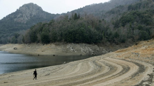 Winterdürre in Frankreich lässt Grundwasserspiegel sinken