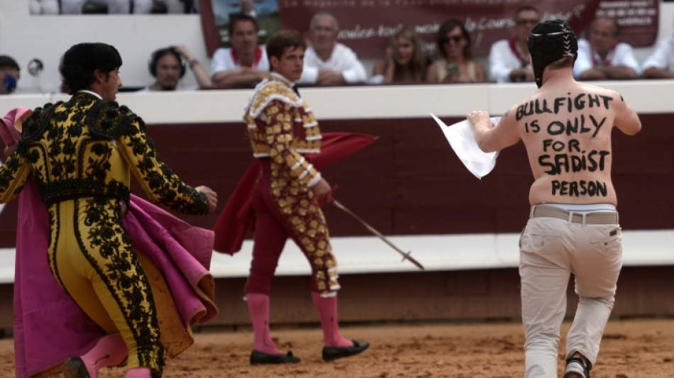 French MPs mull banning bullfighting 