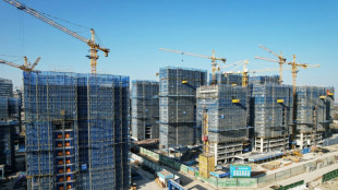 China cuts rates, could buy up commercial housing to boost property market