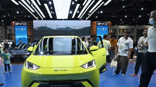 Voitures &eacute;lectriques: le constructeur chinois BYD a sign&eacute; l'ouverture d'un site en Turquie 