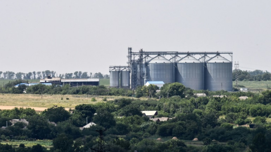 Large part of Ukraine grain storage lost in war: report