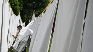 Zoll beschlagnahmt und vernichtet 23 Tonnen gefälschtes Waschpulver aus Türkei