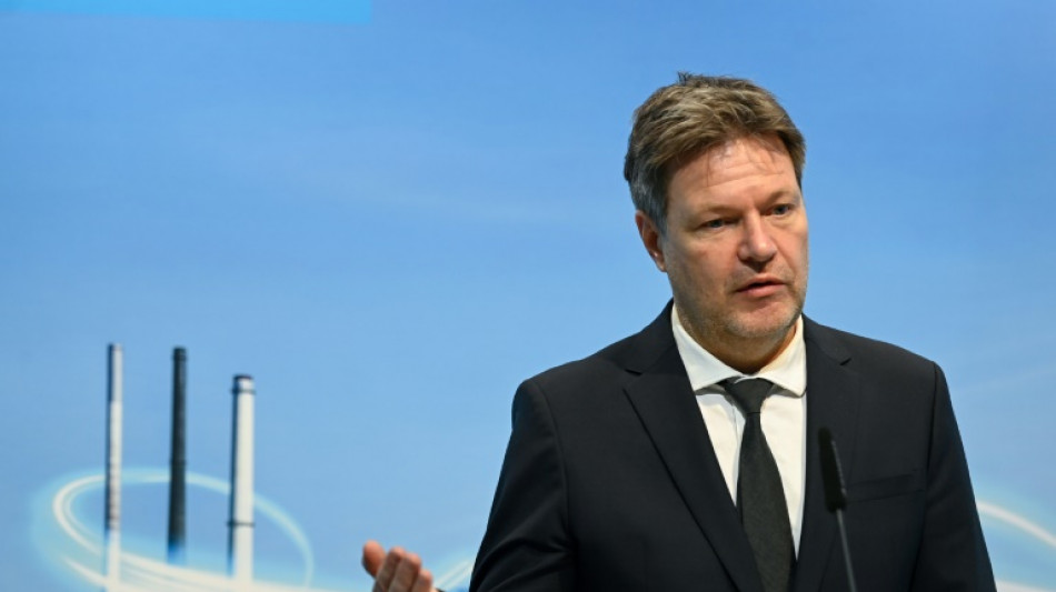 Habeck: &Ouml;kostrom-Ausbau entscheidend f&uuml;r nationale Sicherheit