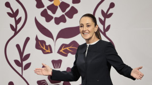 Sheinbaum, 'ricambi auto messicani esentati dai dazi Usa'