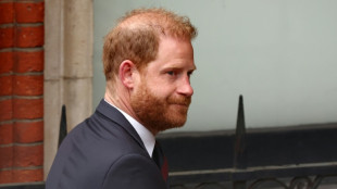 Justi&ccedil;a nega recurso de pr&iacute;ncipe Harry para manter sua prote&ccedil;&atilde;o policial no Reino Unido