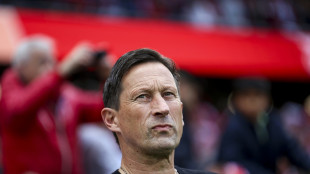 Münchner Trainersuche: Schmidt winkt ab