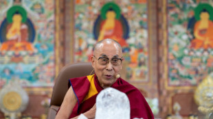Le dala&iuml; lama appelle &agrave; r&eacute;duire la d&eacute;pendance aux sources d'&eacute;nergie fossiles