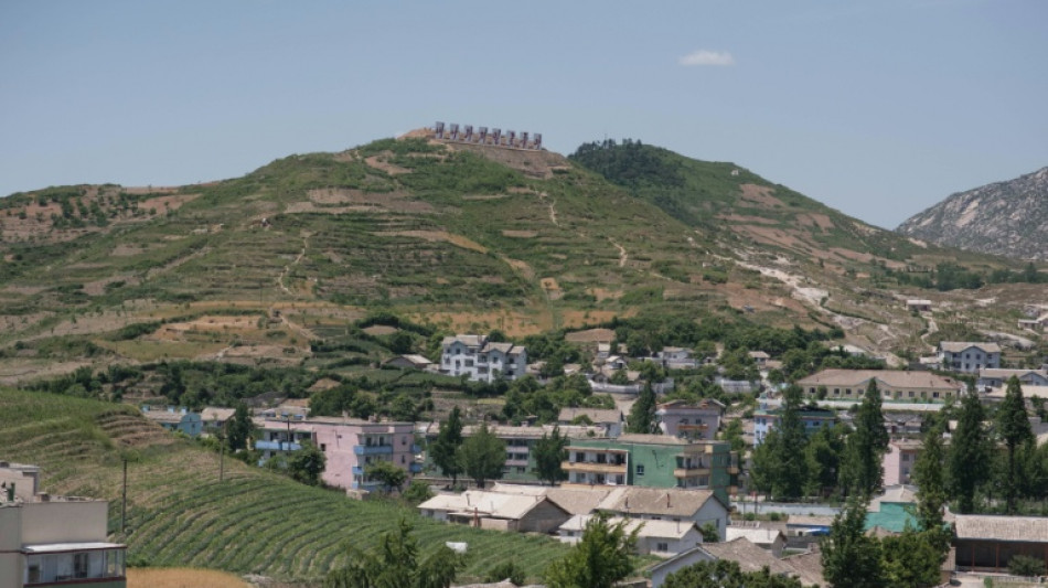 Corea del Norte recomienda la sopa de perro para combatir el calor