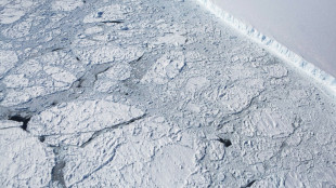 La banquisa antártica marca su máximo invernal más bajo desde que hay registros
