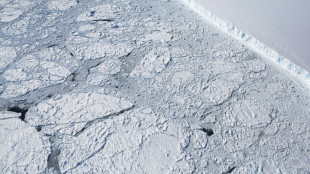 La surface maximale annuelle de la banquise de l'Antarctique n'a jamais &eacute;t&eacute; aussi petite