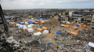 Nach Trump-Vorsto&szlig;: Israel bereitet Plan f&uuml;r freiwillige Ausreisen aus  Gazastreifen vor