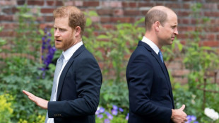 Prinz Harry sieht bei seiner Familie "keinerlei Willen zur Versöhnung"