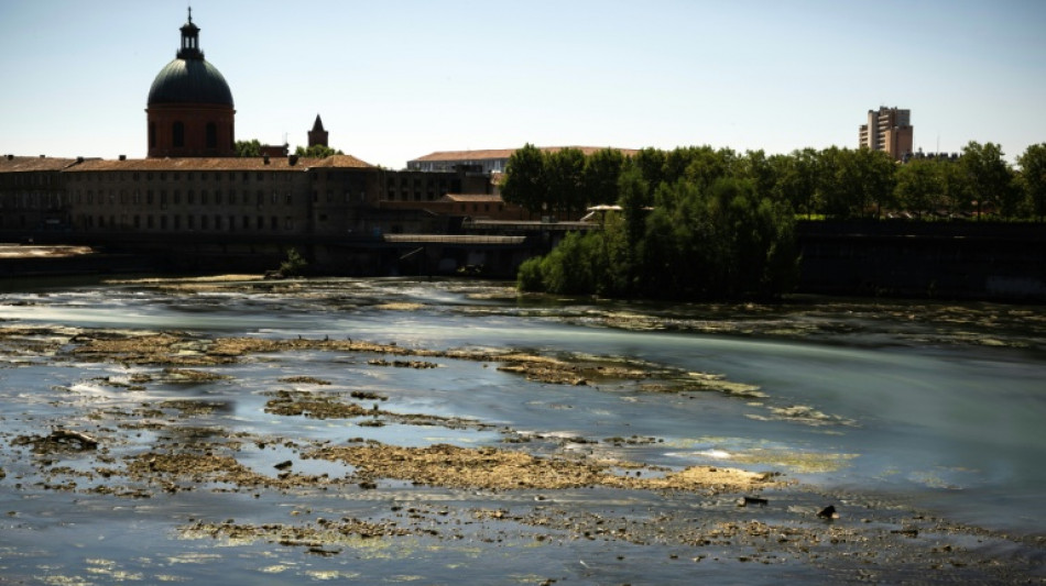 S&eacute;cheresse: la Garonne en "crise" en amont de Toulouse, niveau d'alerte in&eacute;dit