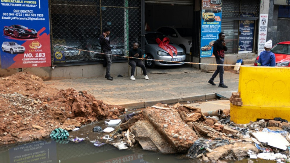 Johannesburg gets rushed makeover for G20 chiefs