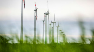 Habeck: Osterpaket ist Beschleuniger für die Energiewende