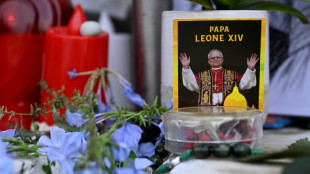 Le&atilde;o XIV retorna ao Vaticano ap&oacute;s cirurgia para tratar c&acirc;ncer de pulm&atilde;o