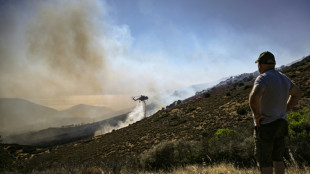 Controlado el incendio forestal cerca de Atenas, pero la zona permanece en alerta m&aacute;xima