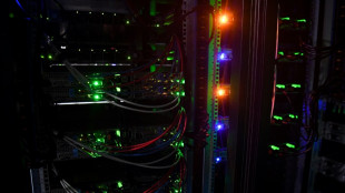 Les hackers Anonymous revendiquent une cyberattaque contre des m&eacute;dias russes