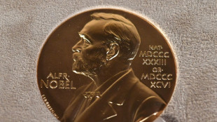 Träger des diesjährigen Physik-Nobelpreises wird verkündet