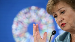 IMF urges US to work with partners to ease trade restrictions