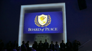 Presidente de Rumania asistir&aacute; como observador a la reuni&oacute;n de la "Junta de Paz" en Washington