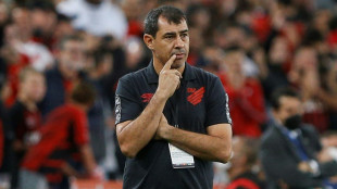 Santos anuncia F&aacute;bio Carille como novo t&eacute;cnico