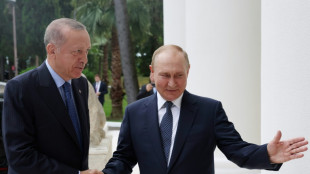 Kreml: Putin und Erdogan vereinbaren engere Zusammenarbeit bei Wirtschaft und Energie