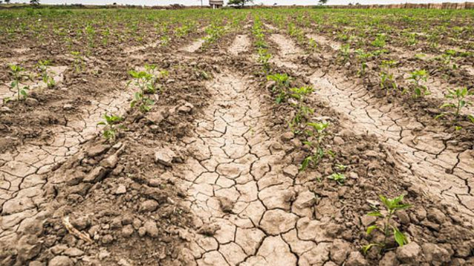 Siccità, dal 2002 le aree colpite sono aumentate ogni anno