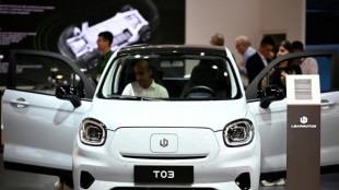 China bekräftigt Kritk an EU-Untersuchung zu Elektroautos