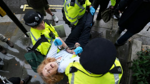 Palestine Action wins bid to challenge terror ban in London court