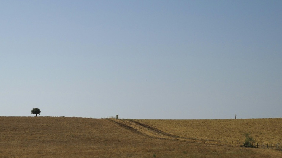 Sequía récord a mediados de julio en Europa y en el Mediterráneo