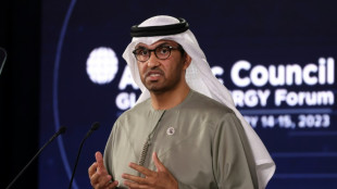 Industria energ&eacute;tica debe ser parte de la lucha clim&aacute;tica, dice jefe de la COP