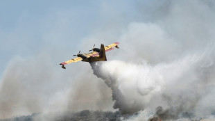 Griechische Feuerwehr meldet weitere Fortschritte im Kampf gegen Waldbrände