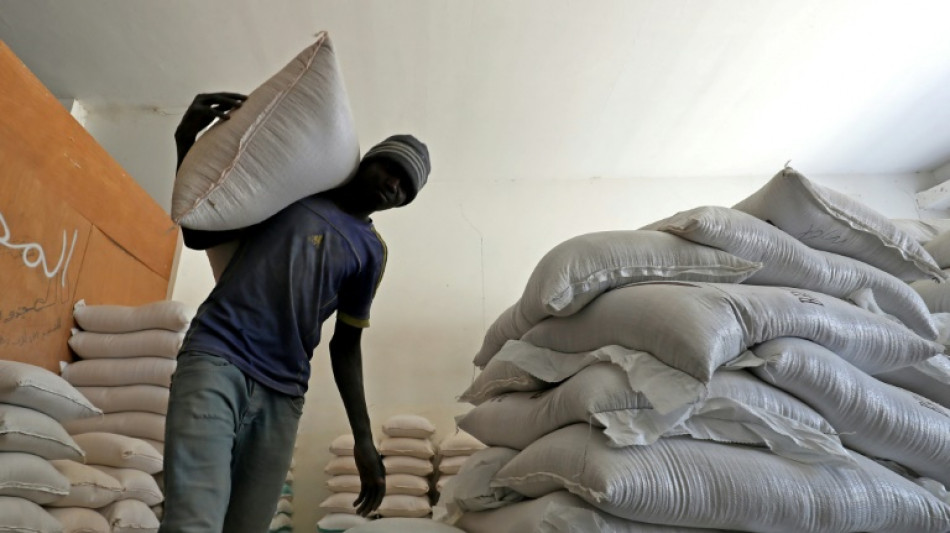 La producci&oacute;n de cereales en 2023-2024 batir&aacute; r&eacute;cords, seg&uacute;n las previsiones