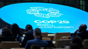 Brasil n&atilde;o vai evitar debate sobre combust&iacute;veis f&oacute;sseis na COP30
