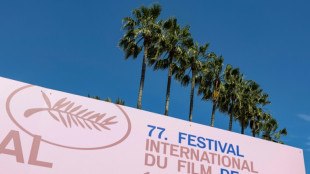 Muted on world stage, Taiwan speaks up at Cannes