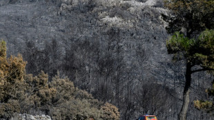 Aude: "vigilance maximale" face au risque de r&eacute;activation du feu