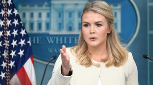 Streit um Abschiebefl&uuml;ge: Richter will laut Trump-Sprecherin Regierungsgewalt an sich rei&szlig;en